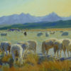 Sawtooth Sheep