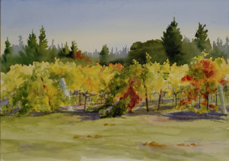 Morelli Vineyard